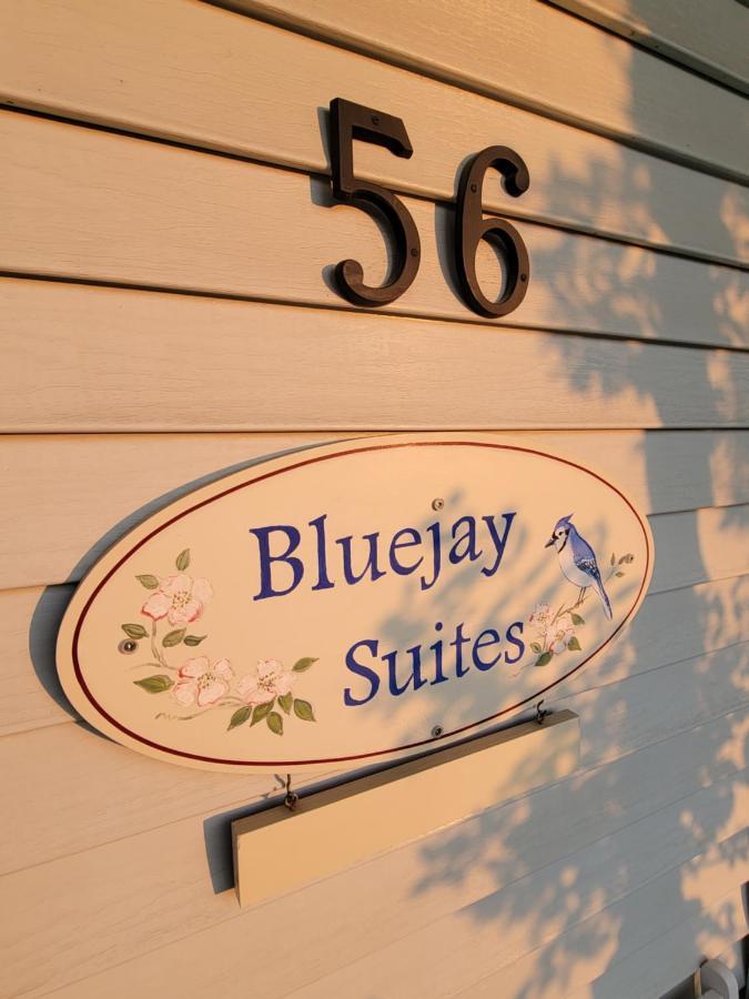 وايتهورس Bluejay Suites B&B المظهر الخارجي الصورة